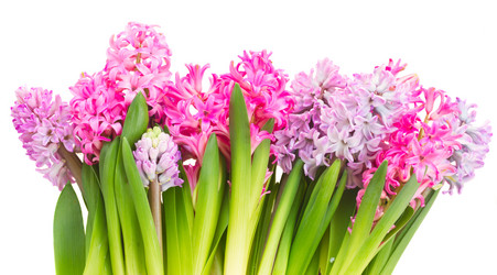 Similar image 10936989