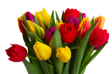 Similar image 10936993