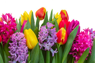 Similar image 10936996