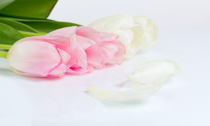 Similar image 10935462