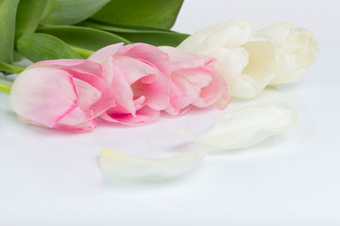 Similar image 10935463