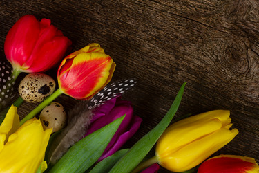 Similar image 10936999