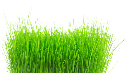 Similar image 10936982