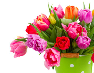 Similar image 10937051