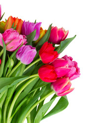 Similar image 10937052