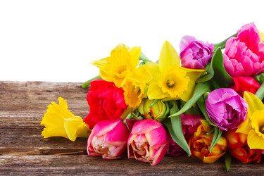 Similar image 10937058