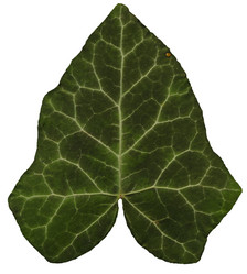 Similar image 10935484