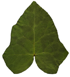 Similar image 10935485