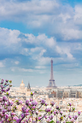 Similar image 10937061