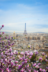 Similar image 10937023