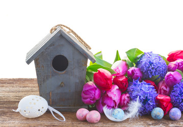 Similar image 10937040