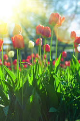 Similar image 10936516