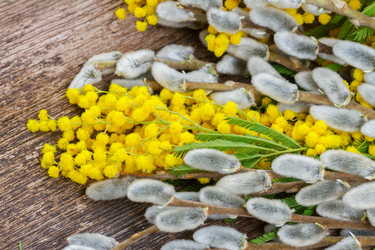 Similar image 10937103