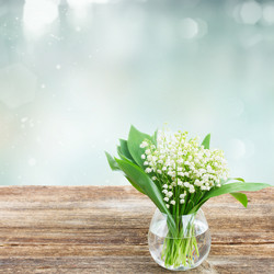 Similar image 10937005