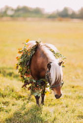 Similar image 10938223