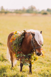 Similar image 10938224