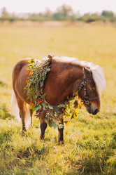 Similar image 10938225