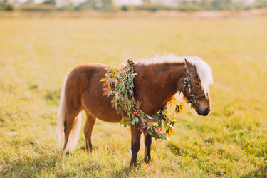 Similar image 10938227