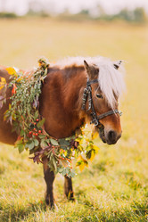 Similar image 10938228