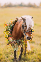 Similar image 10938229