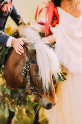 Similar image 10938233