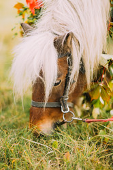 Similar image 10938235