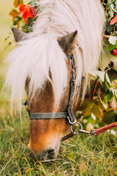 Similar image 10938237