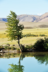 Similar image 10935487