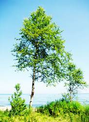 Similar image 10935489