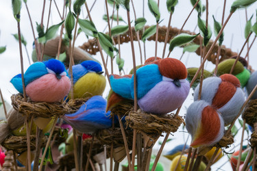 Similar image 10935726