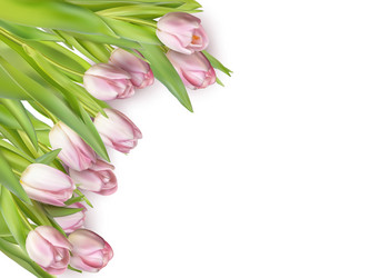 Similar image 10950329