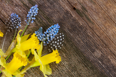 Similar image 10938264