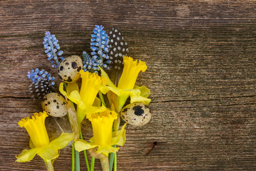 Similar image 10938265