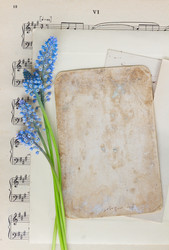 Similar image 10938266