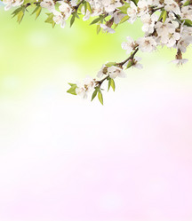 Similar image 10949351