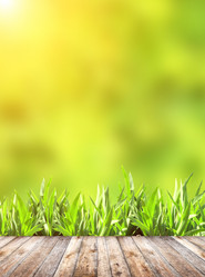 Similar image 10949374