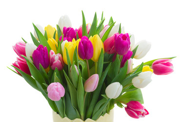 Similar image 10938249