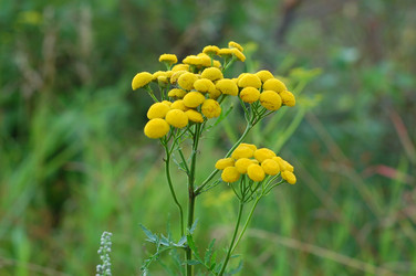 Similar image 10937541