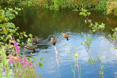 Similar image 10937543