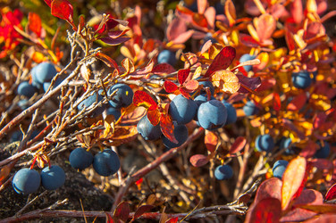 Similar image 10937552