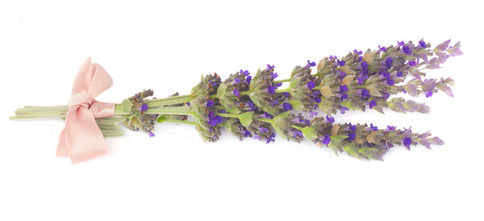 Similar image 10938253