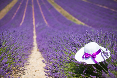 Similar image 10939905