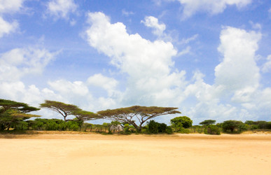 Similar image 10935702