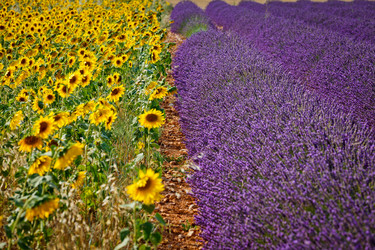 Similar image 10939907