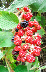 Similar image 10935860