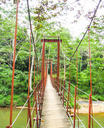 Similar image 10935806