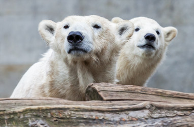 Similar image 10937565