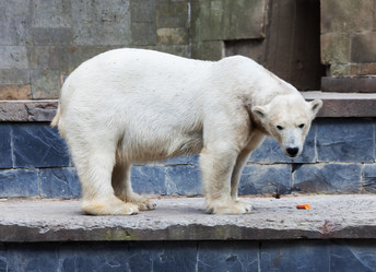 Similar image 10937568