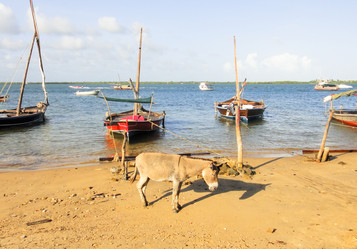 Similar image 10936171