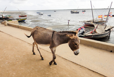 Similar image 10936172